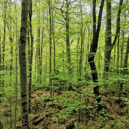 Photo #10759663
