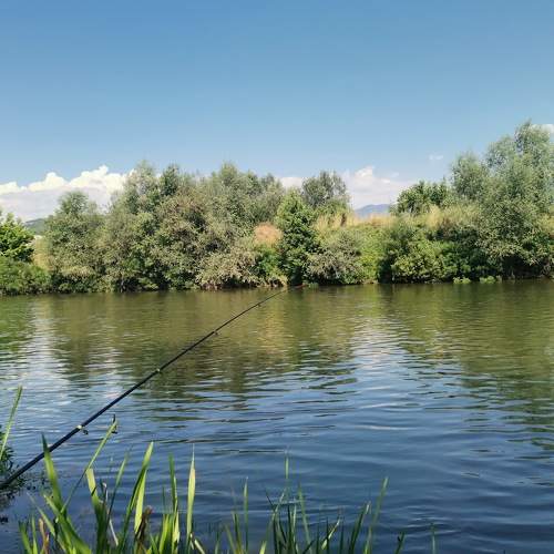 Photo #10759679
