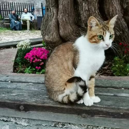 Photo #10759695