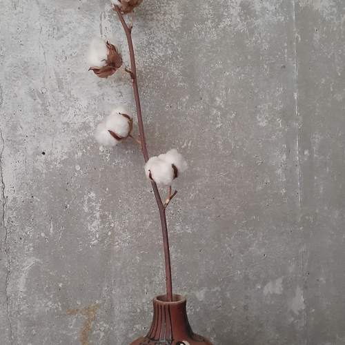 Photo #10759820