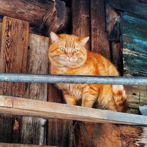 Photo #10759841