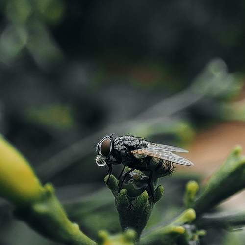 Photo #10760077