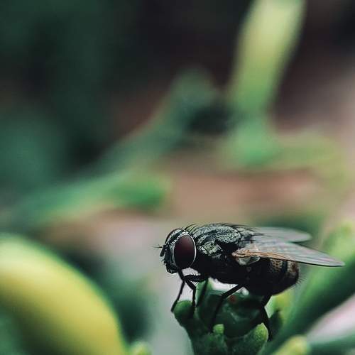 Photo #10760078
