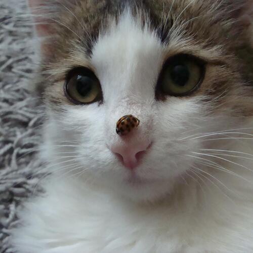 Photo #10760525