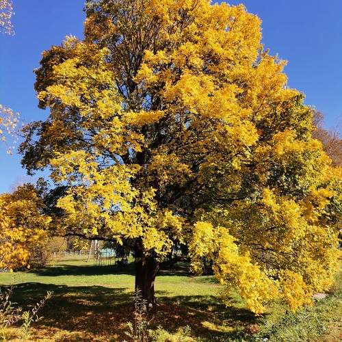 Photo #10760932