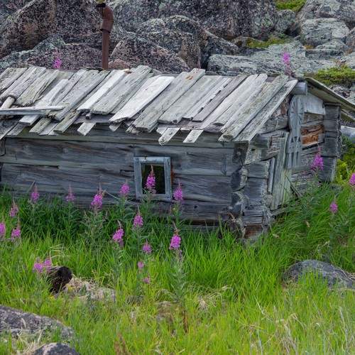 Photo #10761241