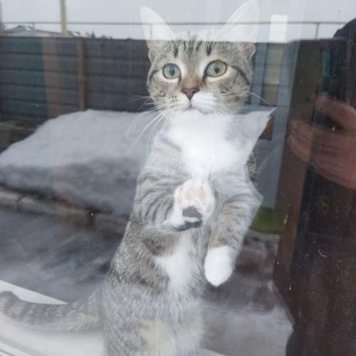 Photo #10762020
