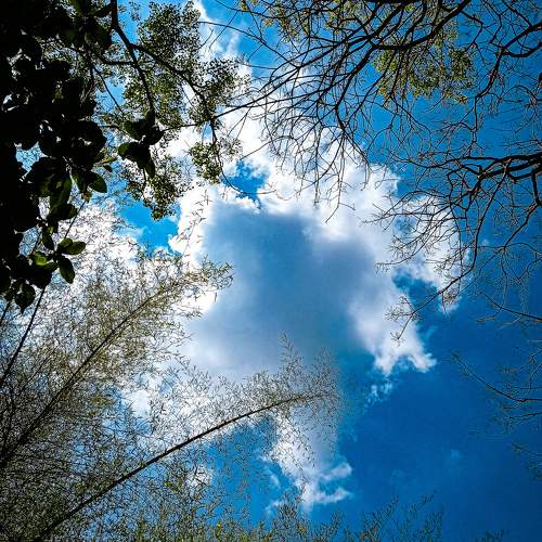 Photo #10762048