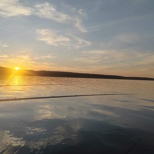 Photo #10762102