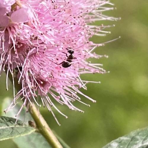 Photo #10762226