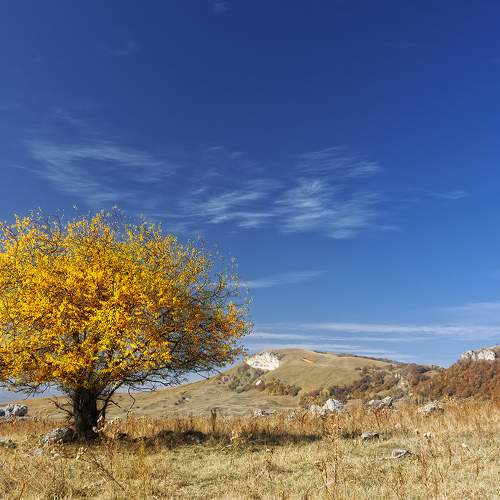 Photo #10762352