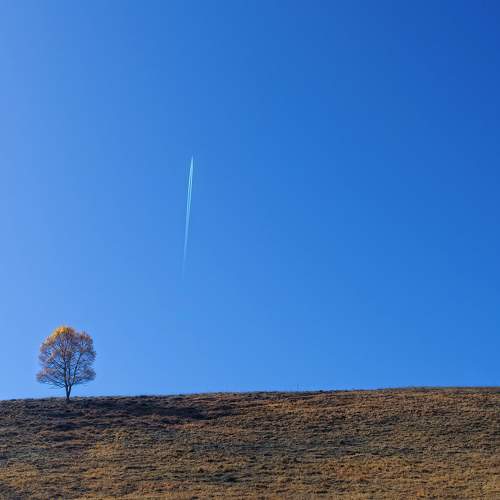 Photo #10762398