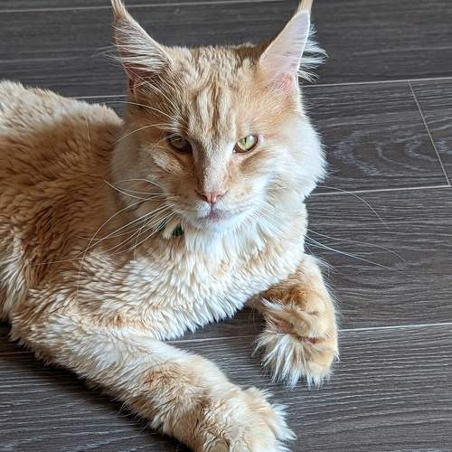Photo #10762838