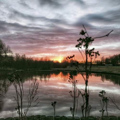 Photo #10762860