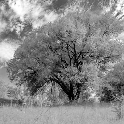 Photo #10763058