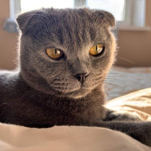Photo #10763060