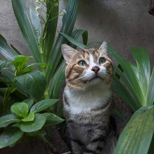 Photo #10763251