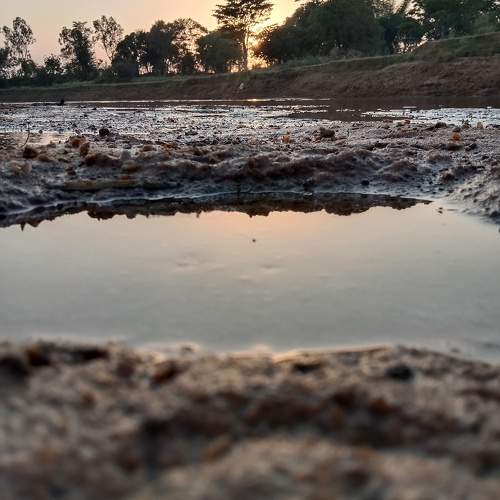 Photo #10763297