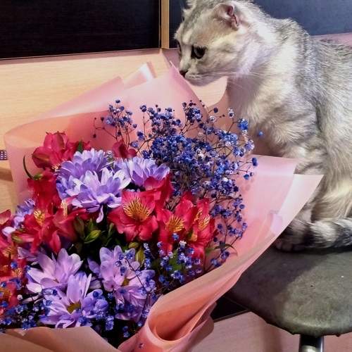 Photo #10763641