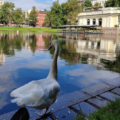 Photo #10763796