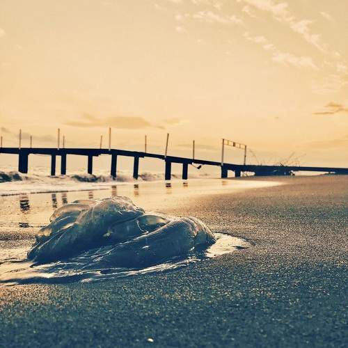 Photo #10763934