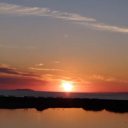Photo #10764101