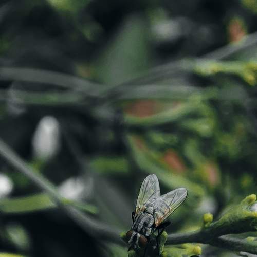 Photo #10764230