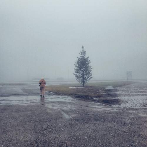 Photo #10764356