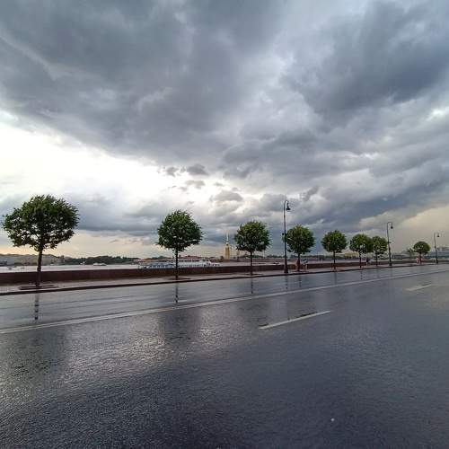 Photo #10764369
