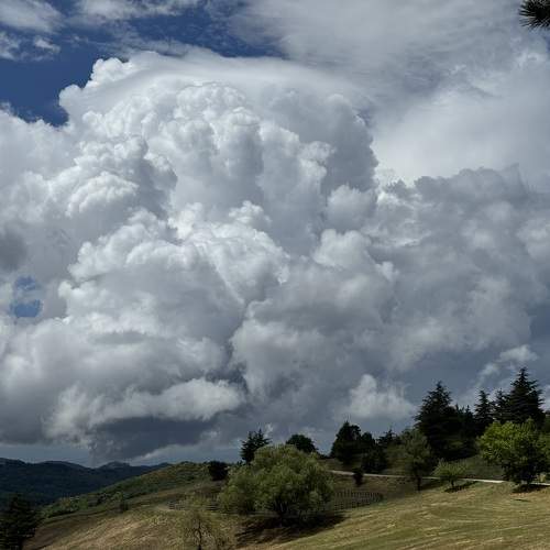 Photo #10764789