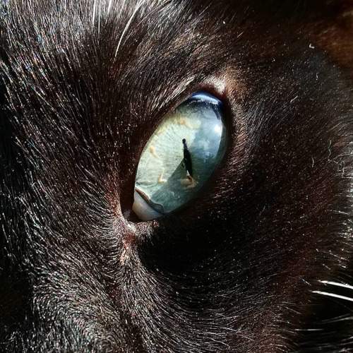 Photo #10765273