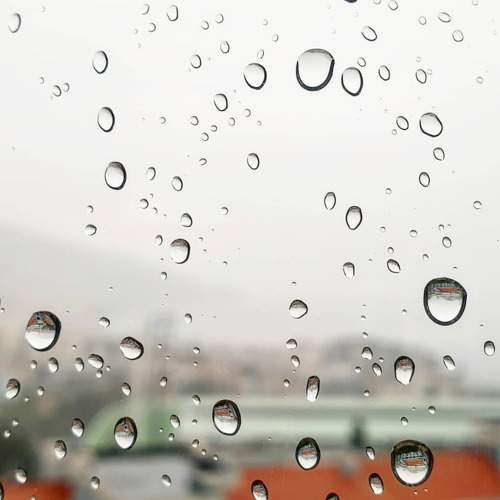 Photo #10765286