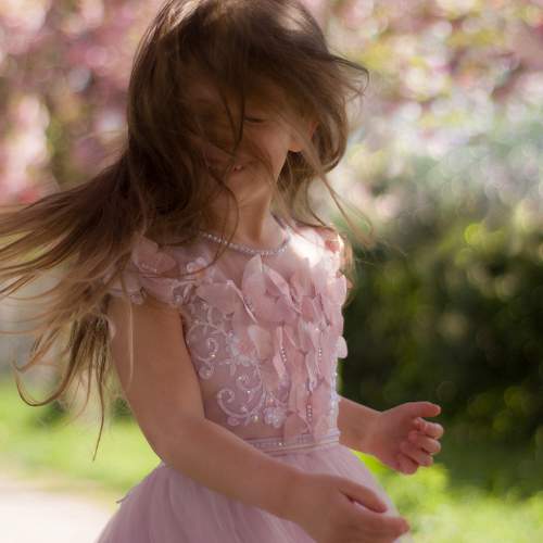 Photo #10765300