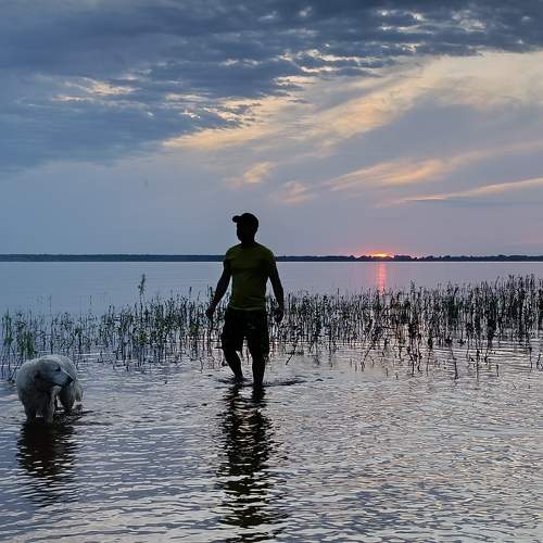 Photo #10765407