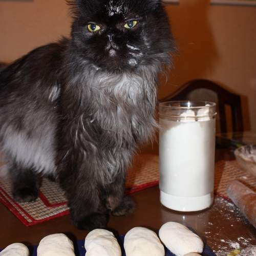 Photo #10765789