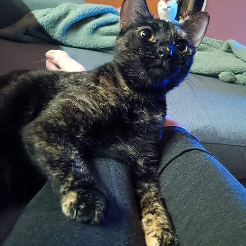 Photo #10765888