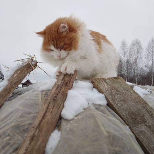 Photo #10765950