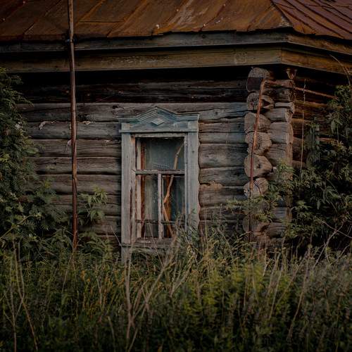 Photo #10765969
