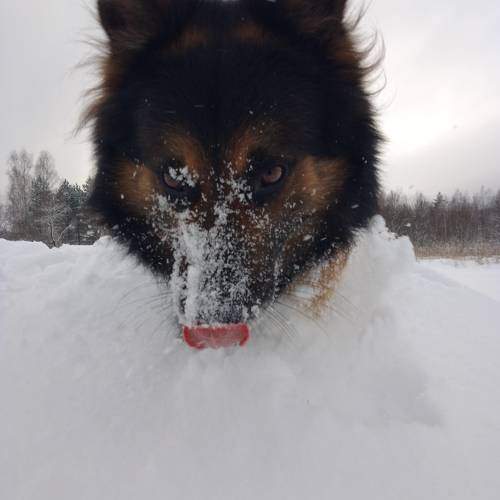 Photo #10766012