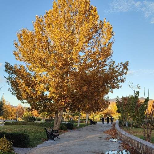 Photo #10766304