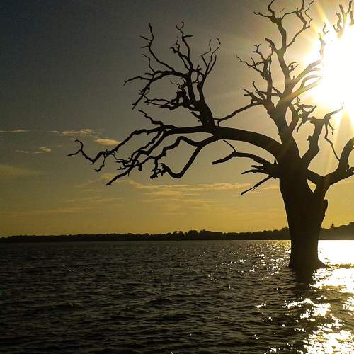 Photo #10766777