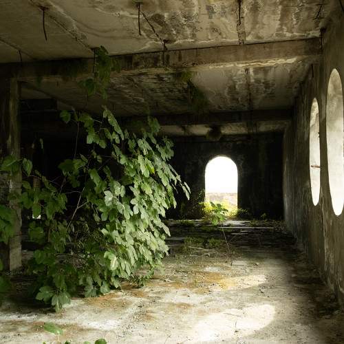 Photo #10766780