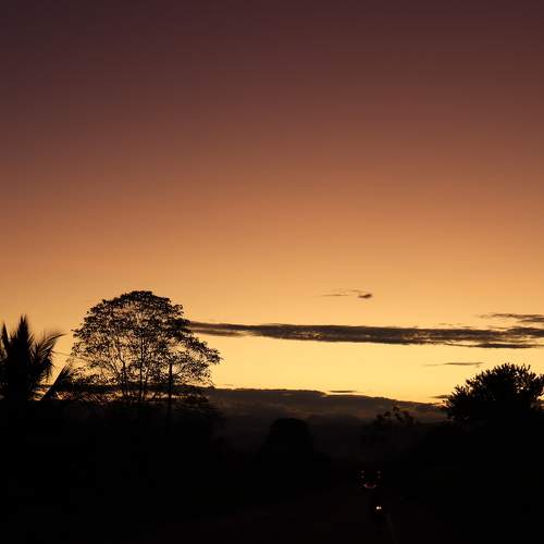 Photo #10766847