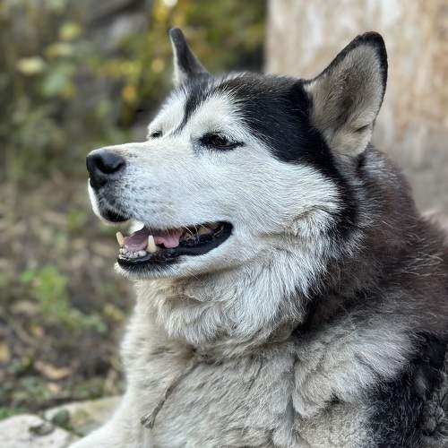 Photo #10767179