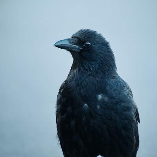 Фотография #10767187