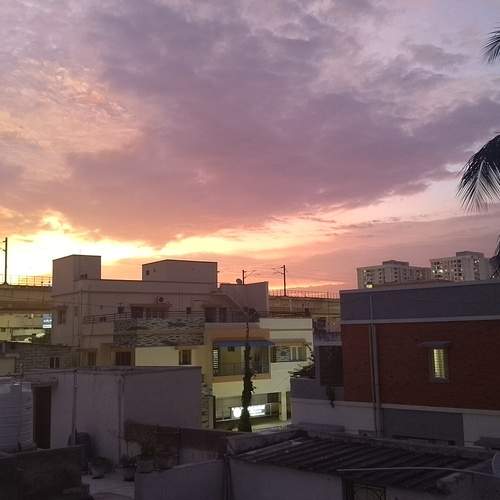 Photo #10767558