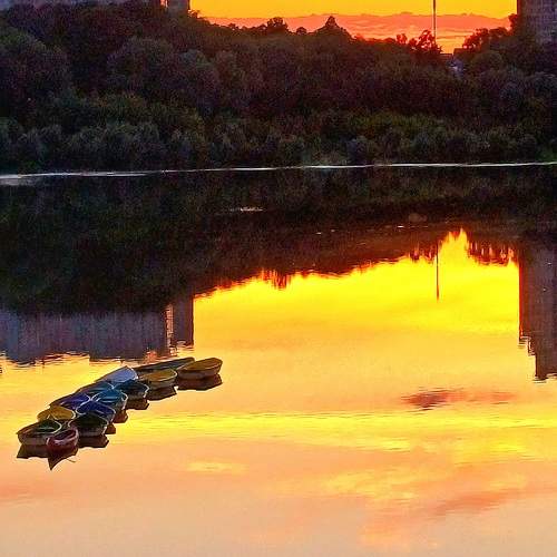 Photo #10767563