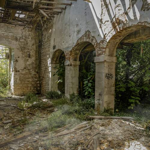 Photo #10767854