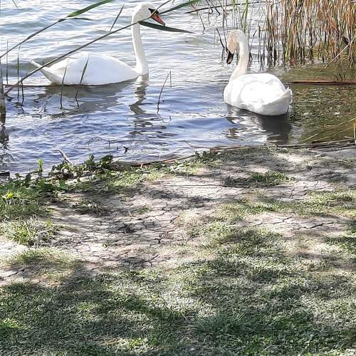 Photo #10767958