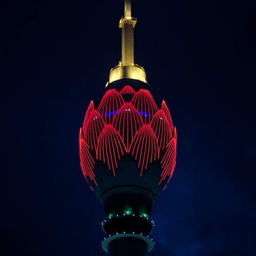 Photo #10768009